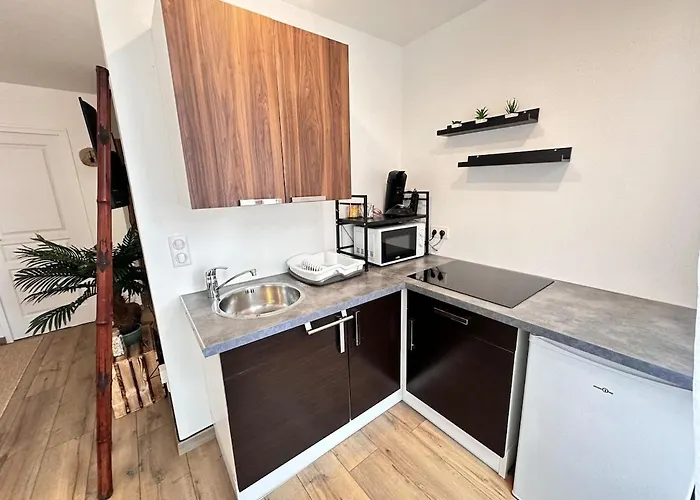 Апартаменты La Detente De Robinson T2 Agreable Proche Centre *